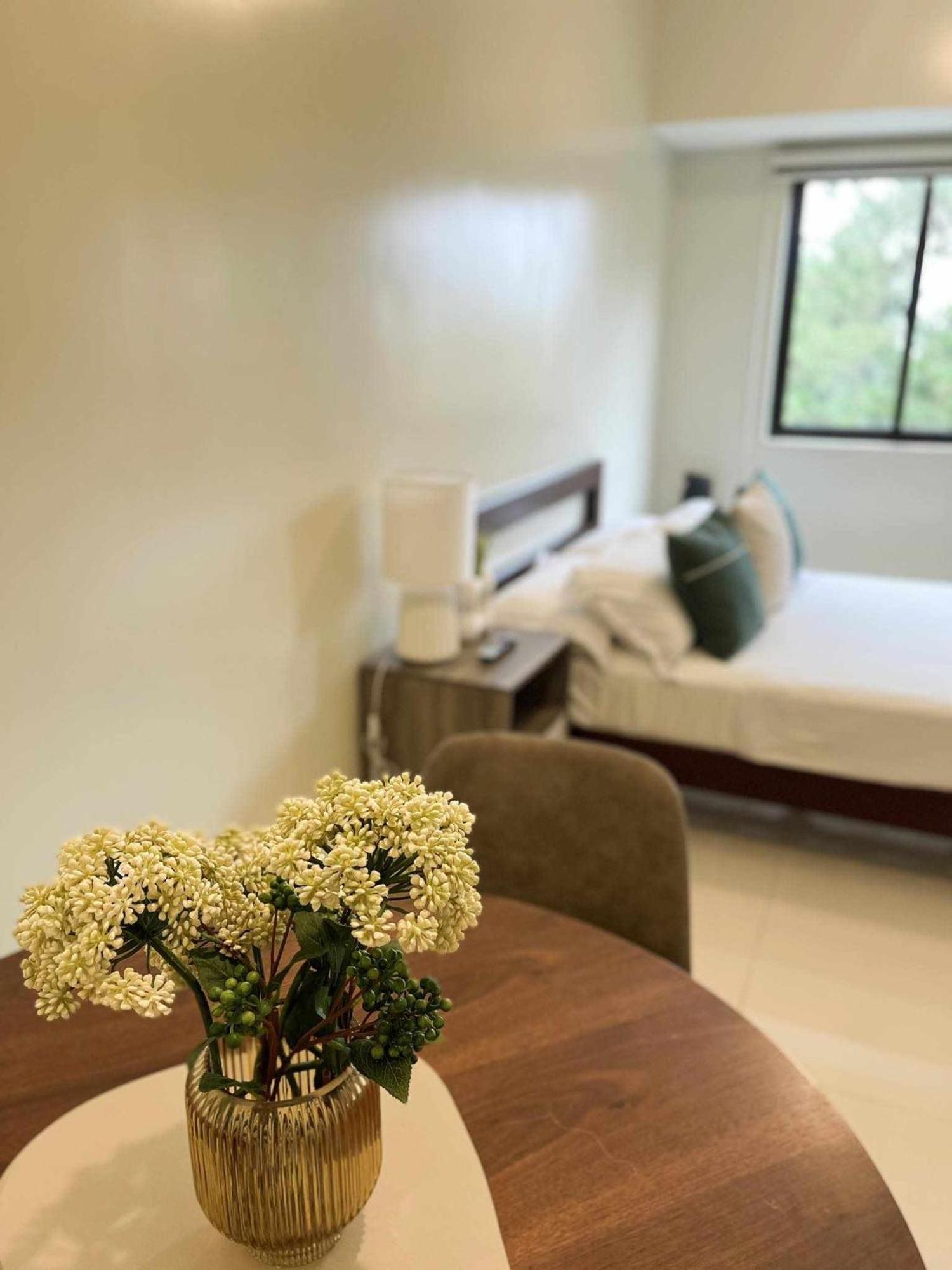 Cozy Pine Suites バギオ エクステリア 写真